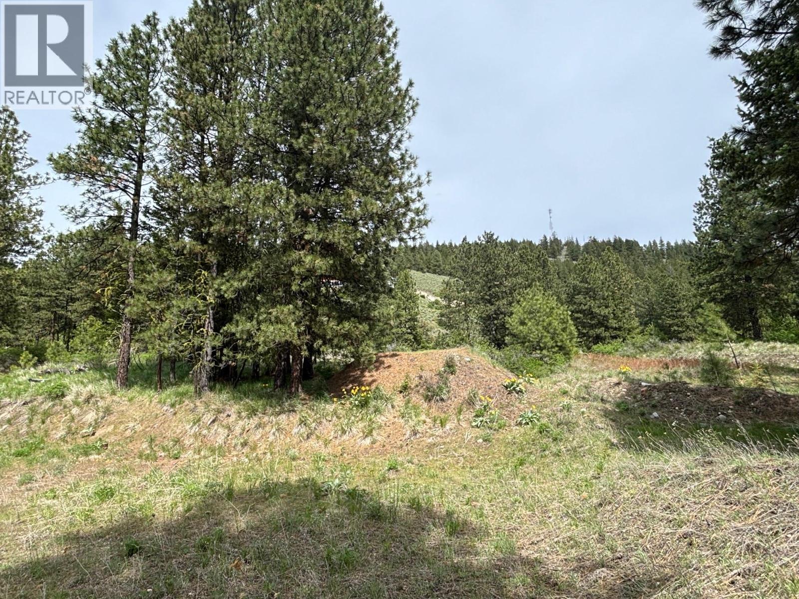 500 Sasquatch Trail, Osoyoos, British Columbia  V0H 1V6 - Photo 12 - 10395324