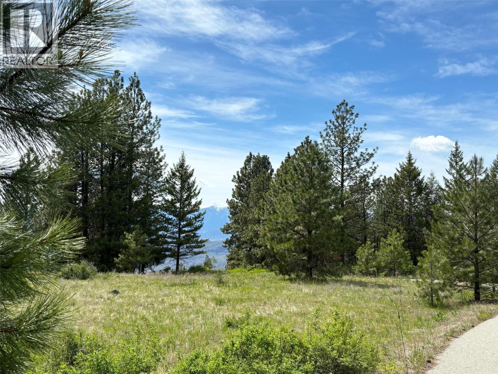 500 Sasquatch Trail, Osoyoos, British Columbia  V0H 1V6 - Photo 4 - 10395324
