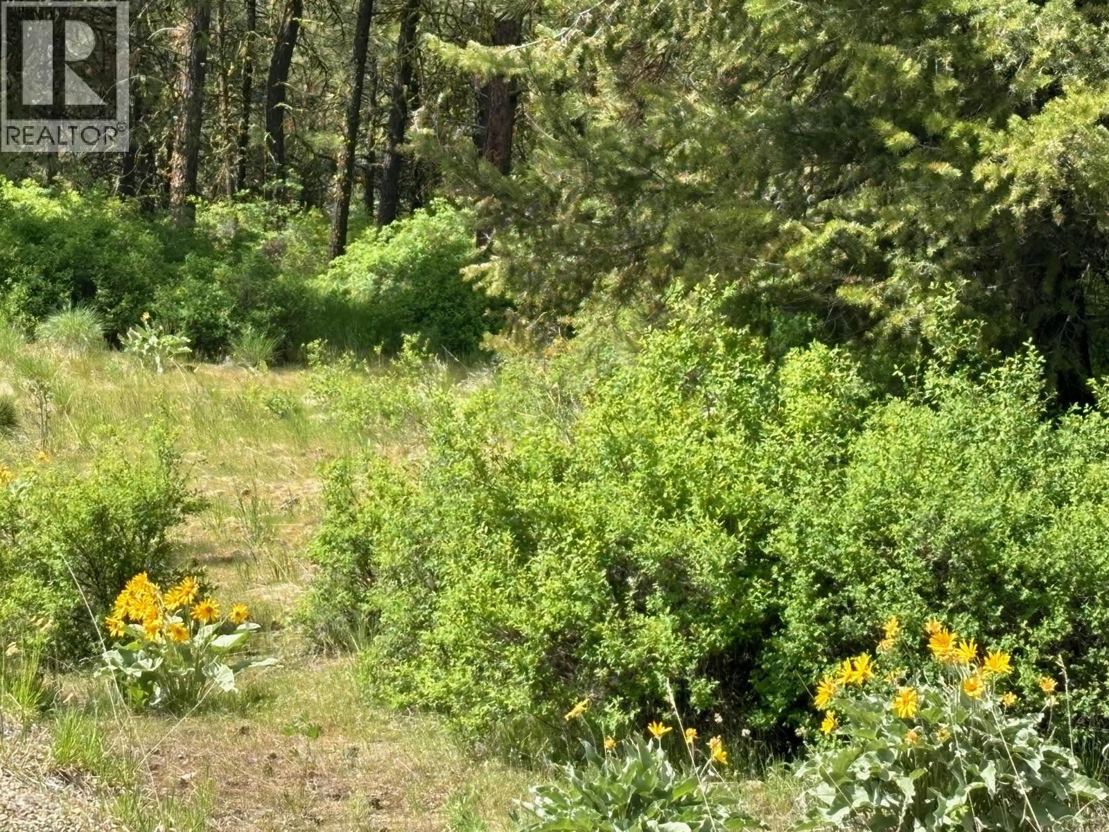 500 Sasquatch Trail, Osoyoos, British Columbia  V0H 1V6 - Photo 6 - 10395324