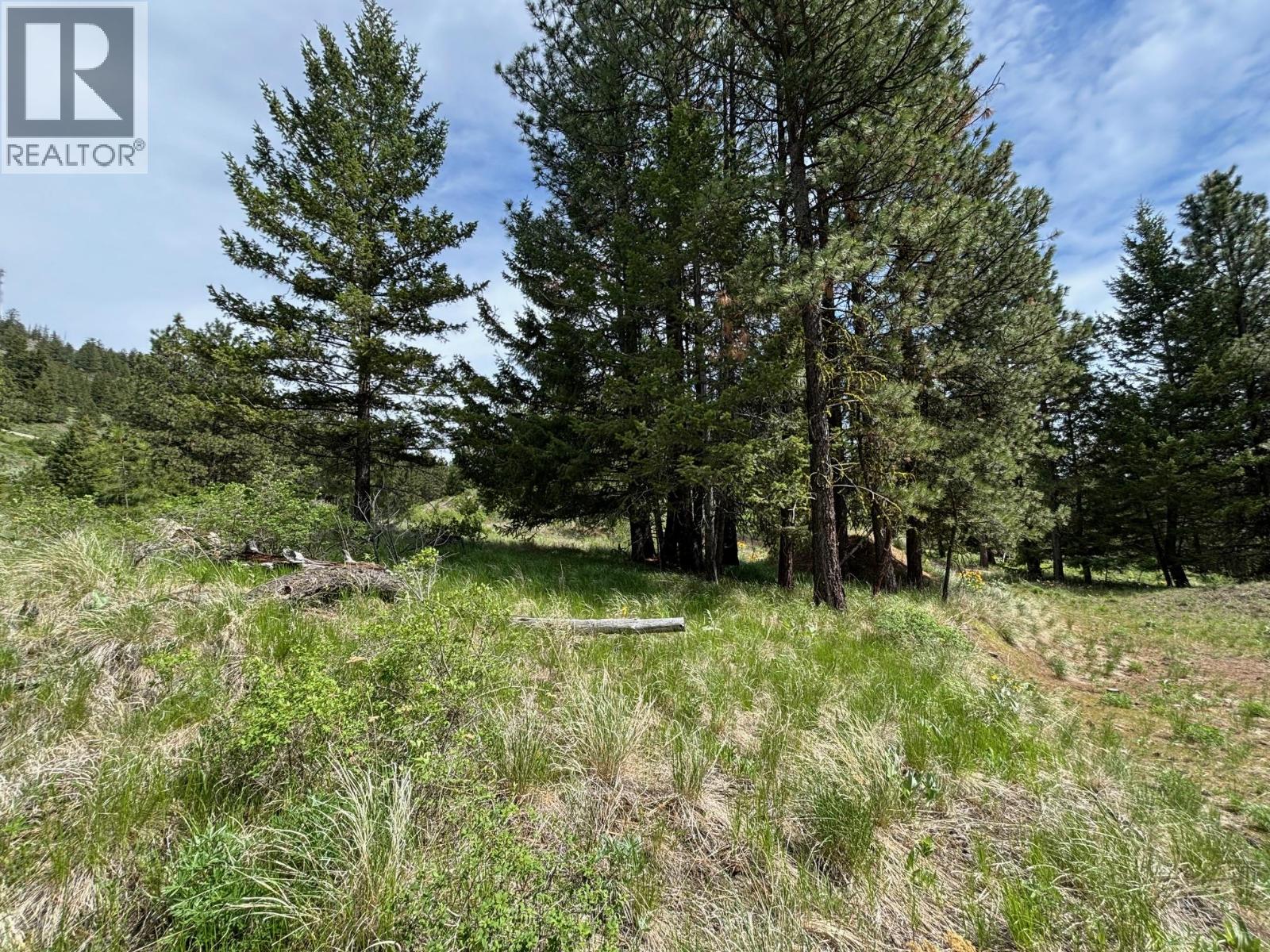 500 Sasquatch Trail, Osoyoos, British Columbia  V0H 1V6 - Photo 8 - 10395324