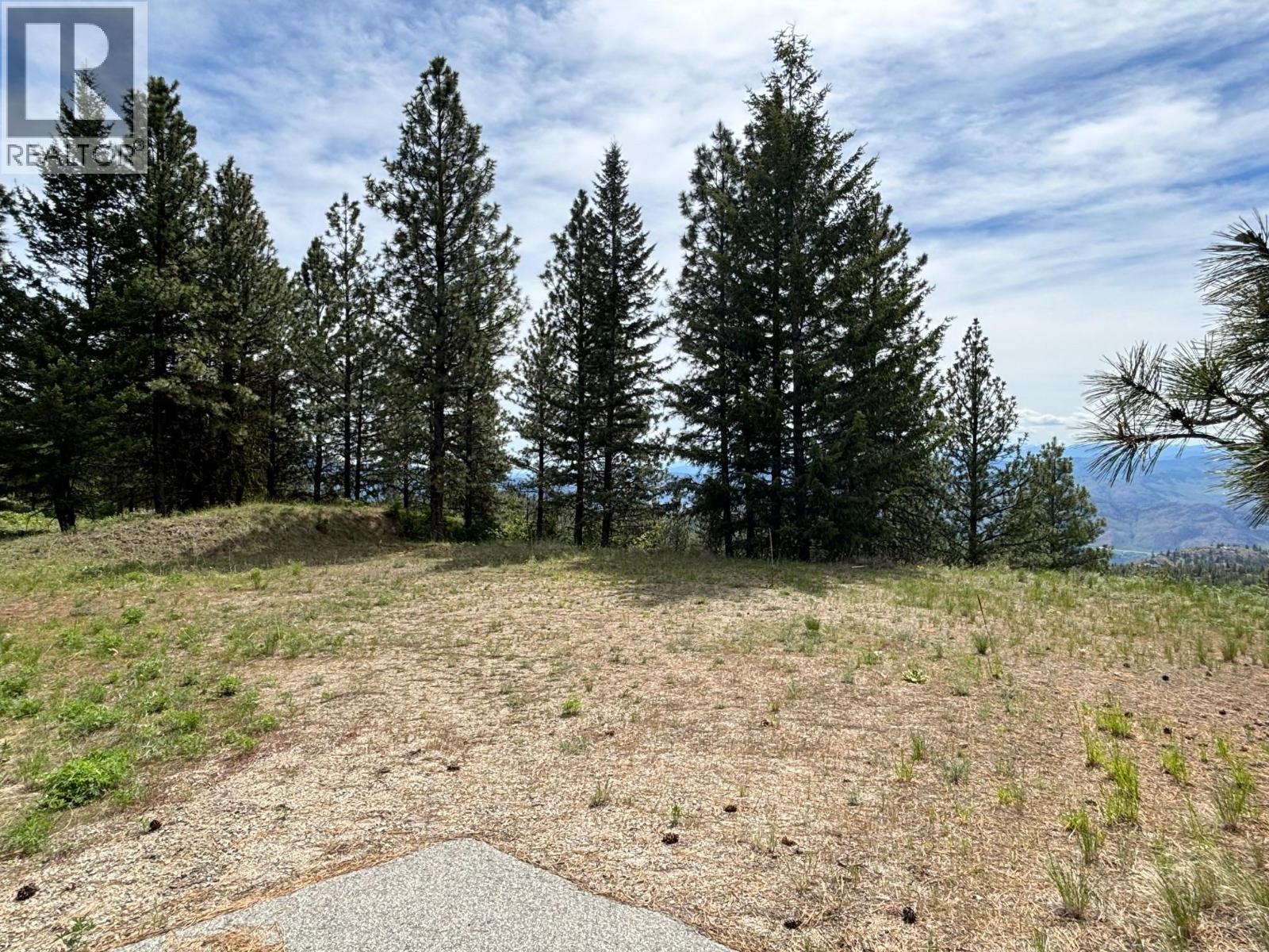 500 Sasquatch Trail, Osoyoos, British Columbia  V0H 1V6 - Photo 9 - 10395324