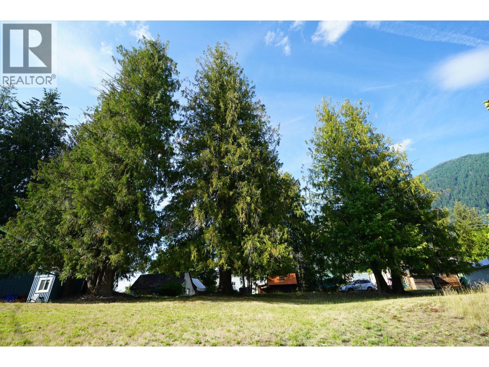 416 Slocan Avenue, New Denver, British Columbia  V0G 2B0 - Photo 20 - 10394895