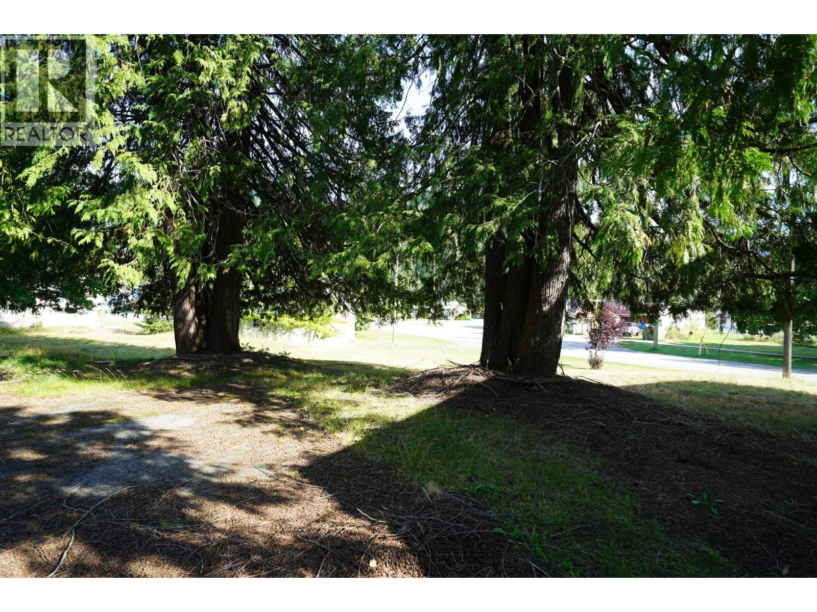 416 Slocan Avenue, New Denver, British Columbia  V0G 2B0 - Photo 25 - 10394895