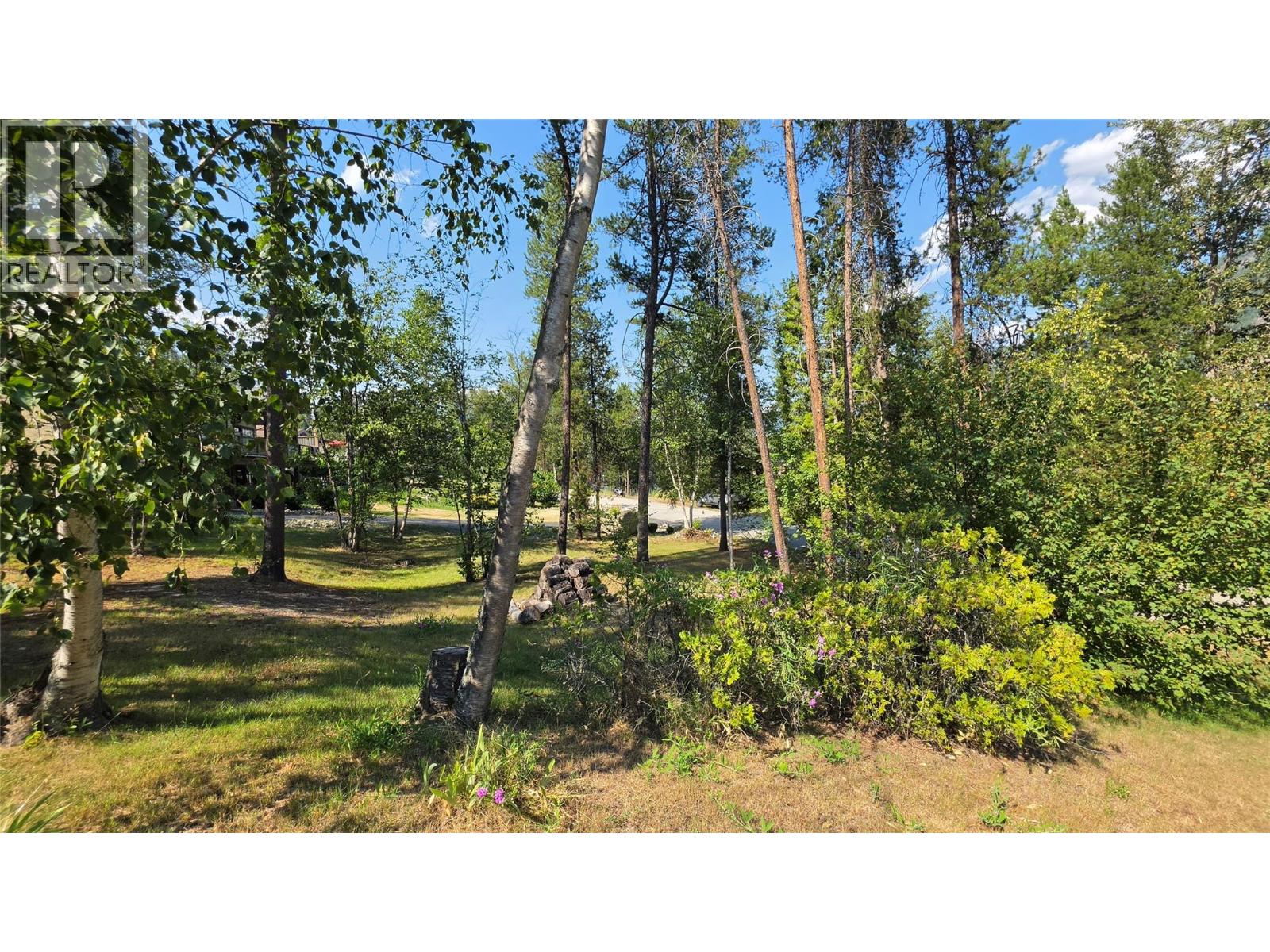 3108 1st Avenue, Castlegar, British Columbia  V1N 2R3 - Photo 11 - 10395317