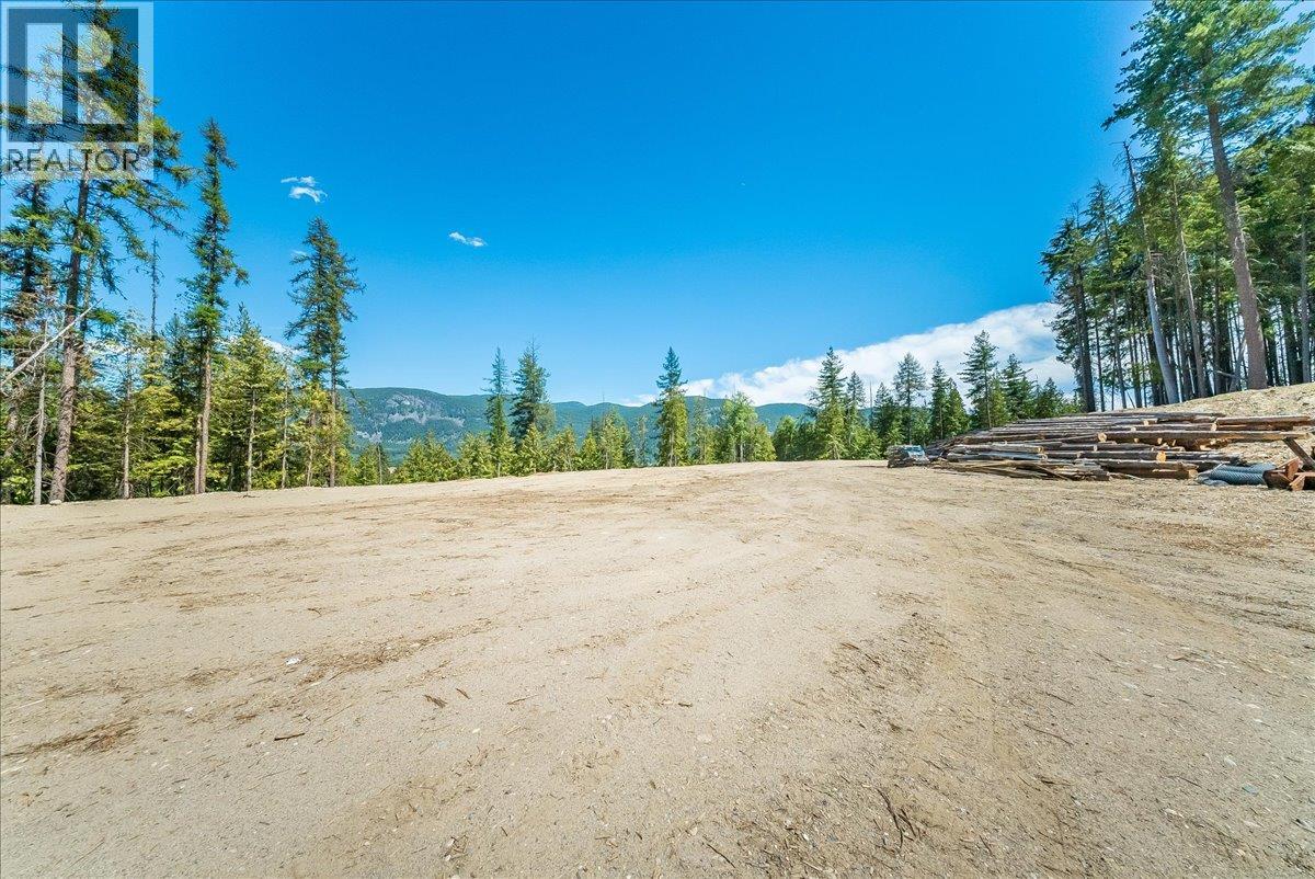1110 23rd Street, Castlegar, British Columbia  V1N 3A6 - Photo 11 - 10395340