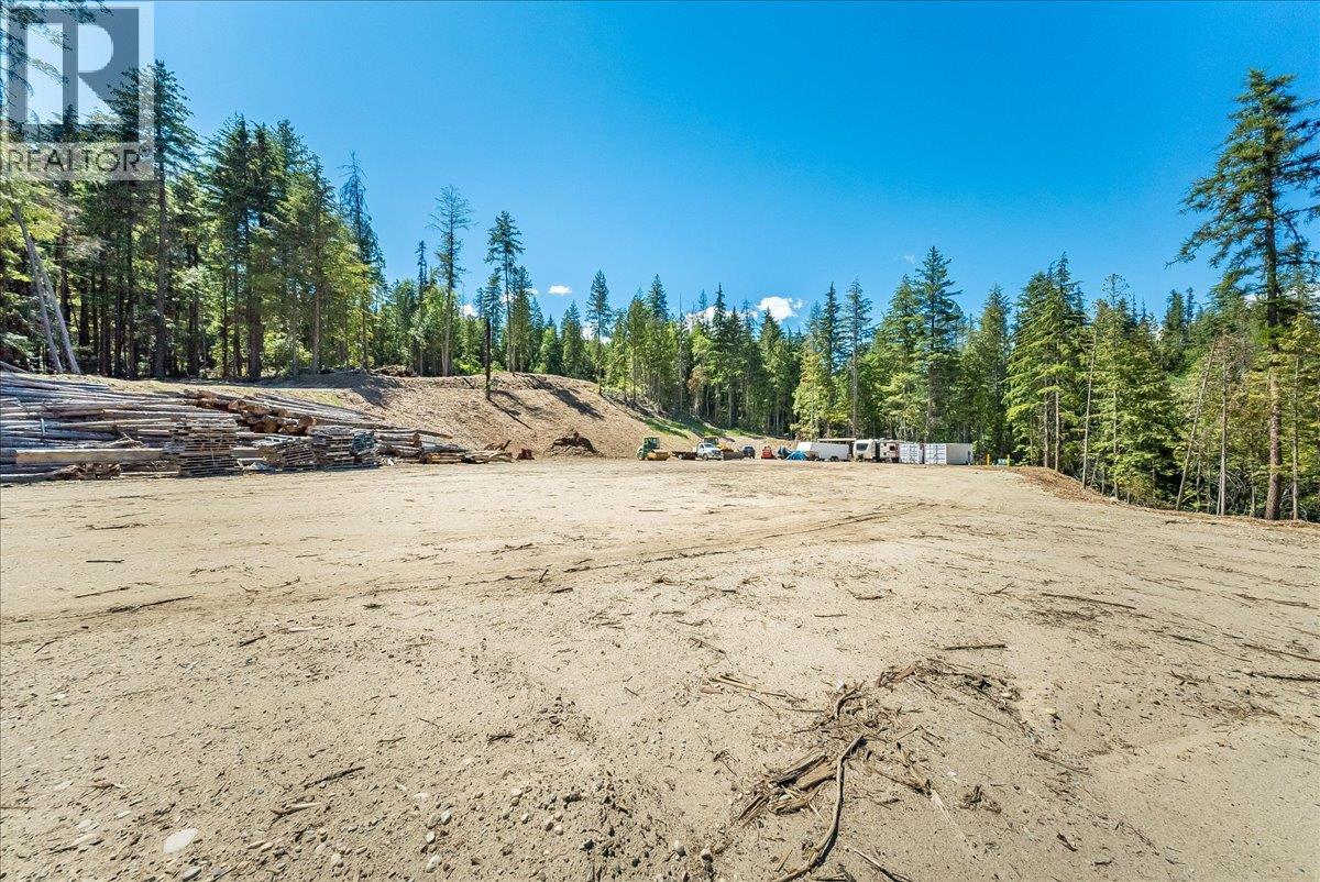1110 23rd Street, Castlegar, British Columbia  V1N 3A6 - Photo 13 - 10395340
