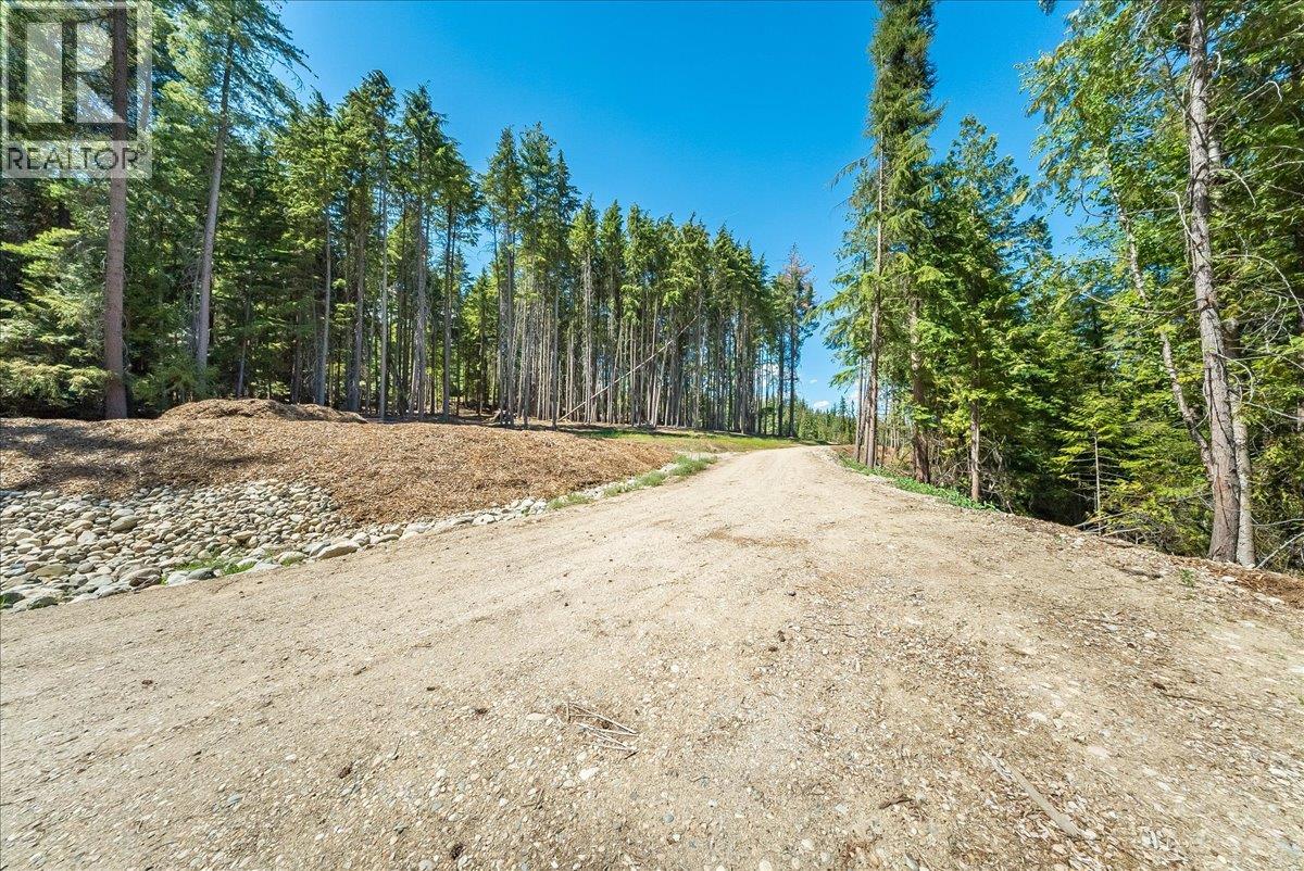 1110 23rd Street, Castlegar, British Columbia  V1N 3A6 - Photo 14 - 10395340