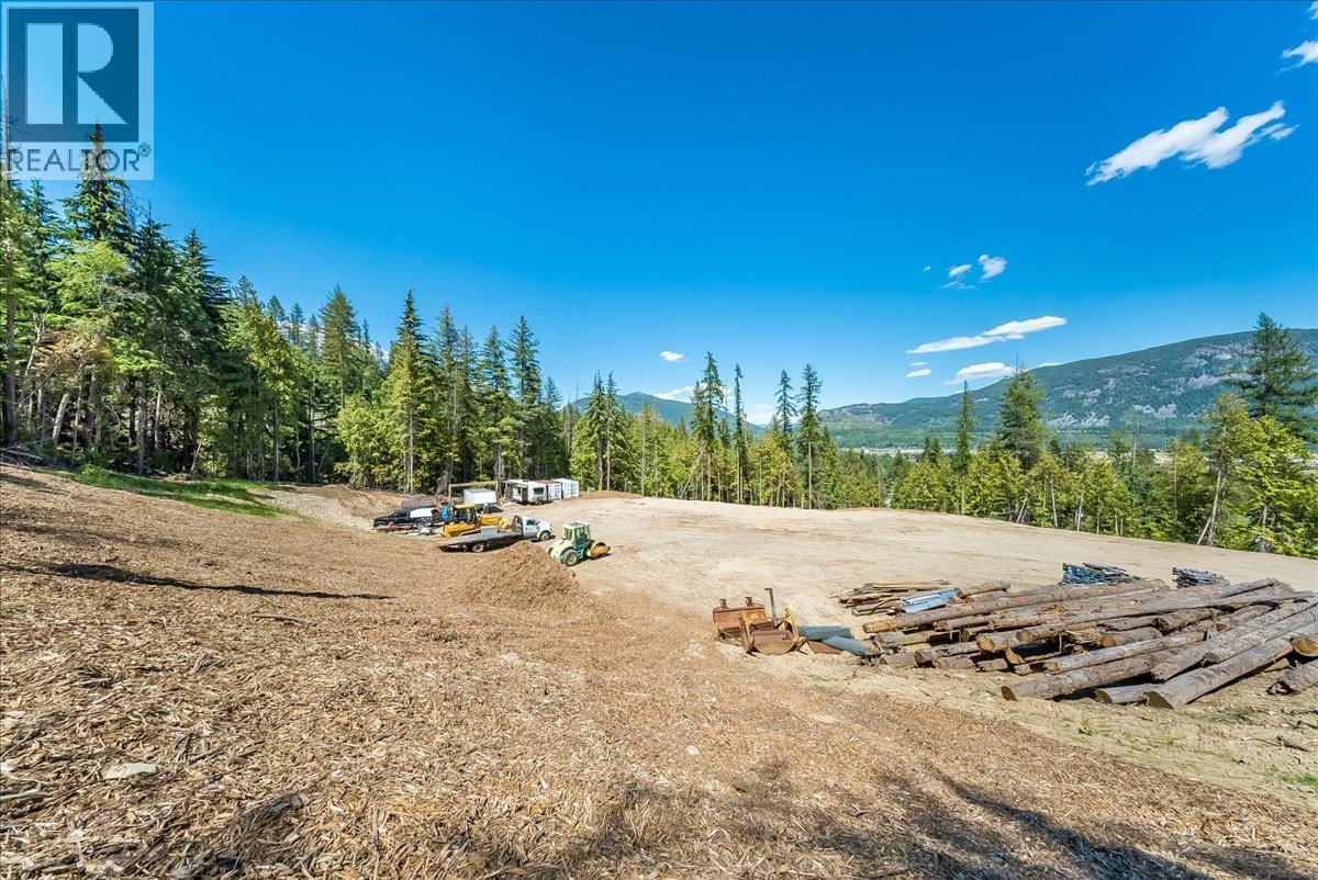 1110 23rd Street, Castlegar, British Columbia  V1N 3A6 - Photo 8 - 10395340