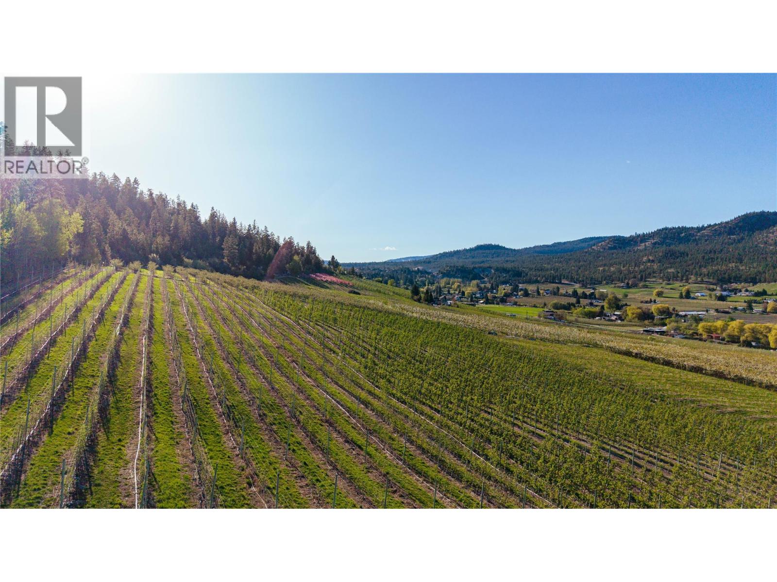 9820 Rippen Avenue, Summerland, British Columbia  V0H 1Z8 - Photo 73 - 10395472