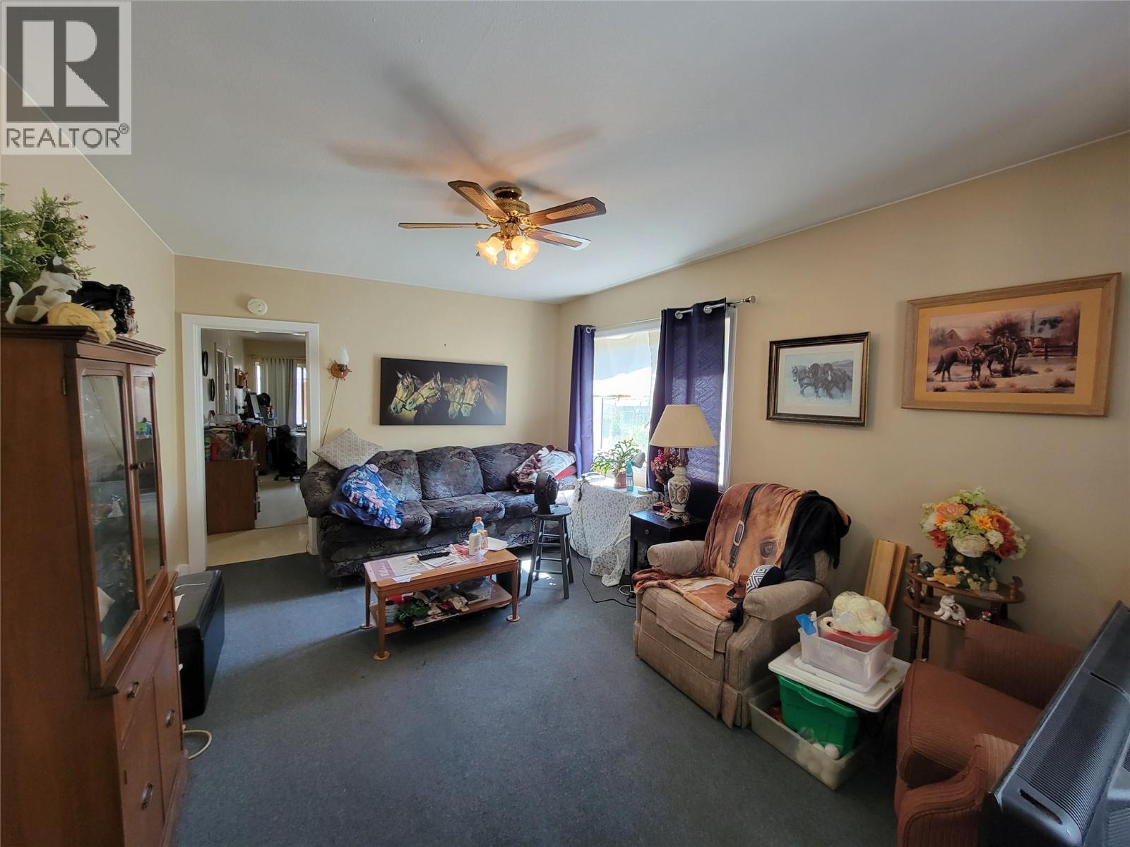 1163 Scott Avenue, Hedley, British Columbia  V0X 1K0 - Photo 9 - 10395483