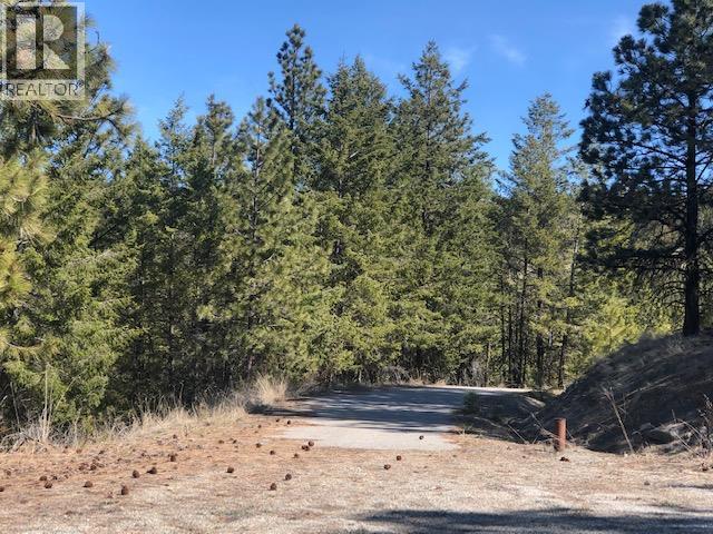 111 Falcon Place Unit# Lot 2, Osoyoos, British Columbia  V0H 1V6 - Photo 3 - 10395543
