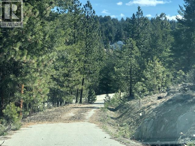 111 Falcon Place Unit# Lot 2, Osoyoos, British Columbia  V0H 1V6 - Photo 6 - 10395543