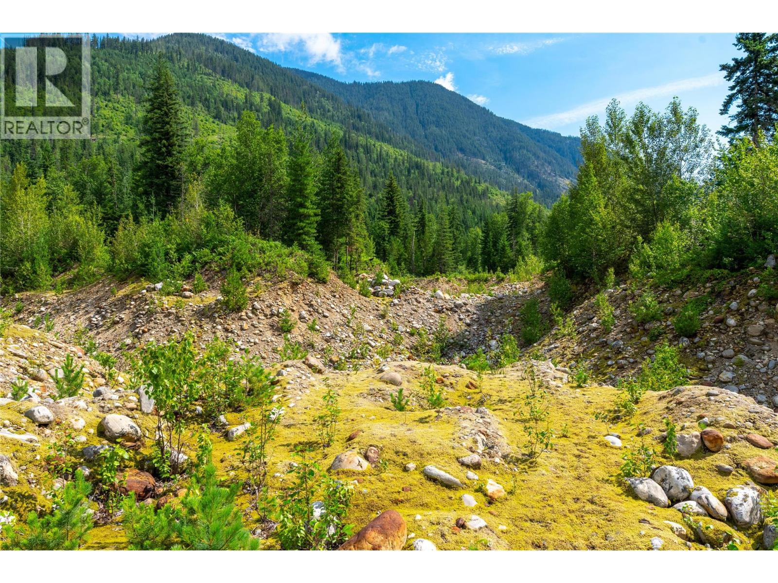 5597 Avoca Road, Malakwa, British Columbia  V0E 2J0 - Photo 14 - 10395008
