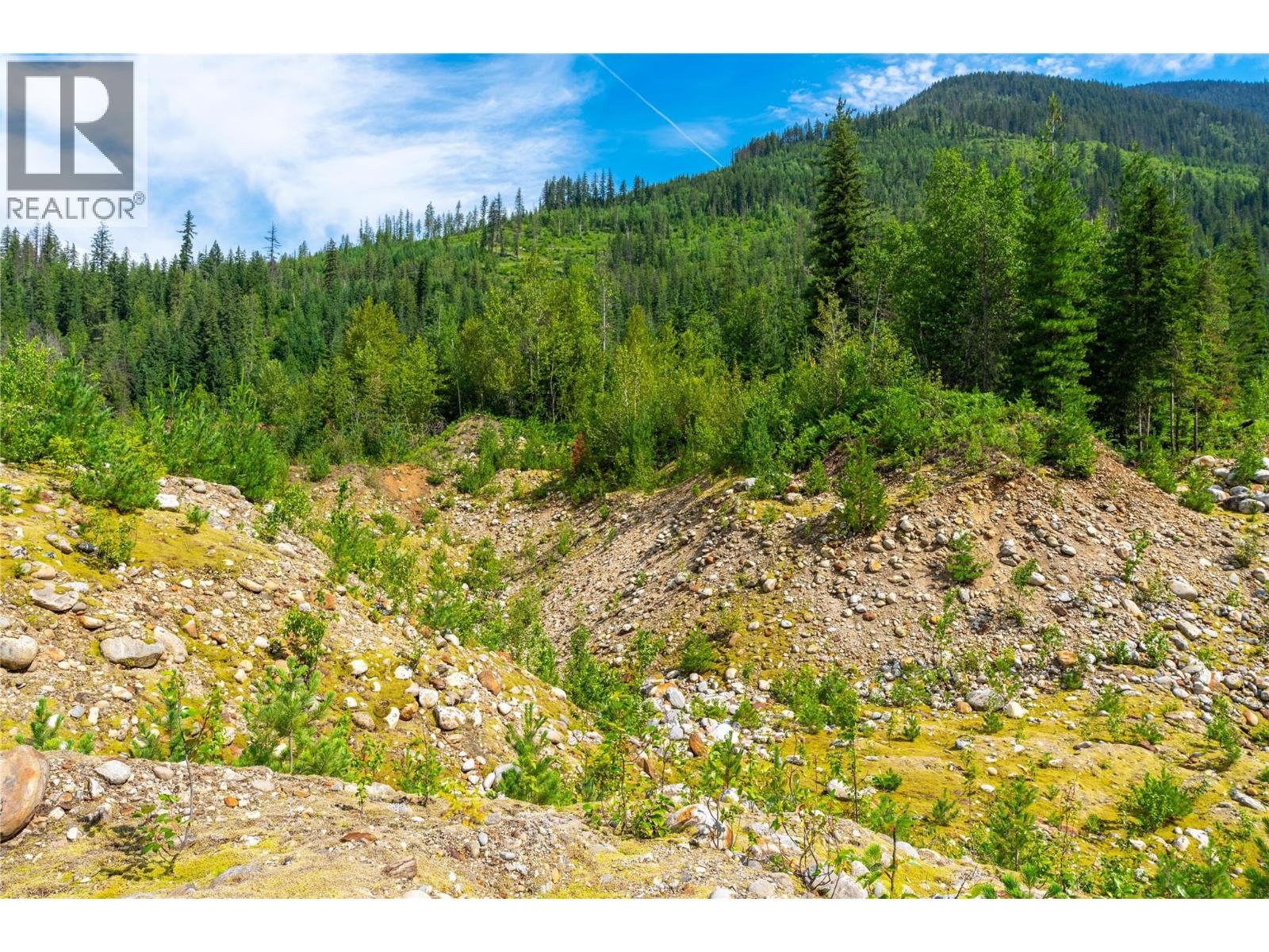 5597 Avoca Road, Malakwa, British Columbia  V0E 2J0 - Photo 15 - 10395008