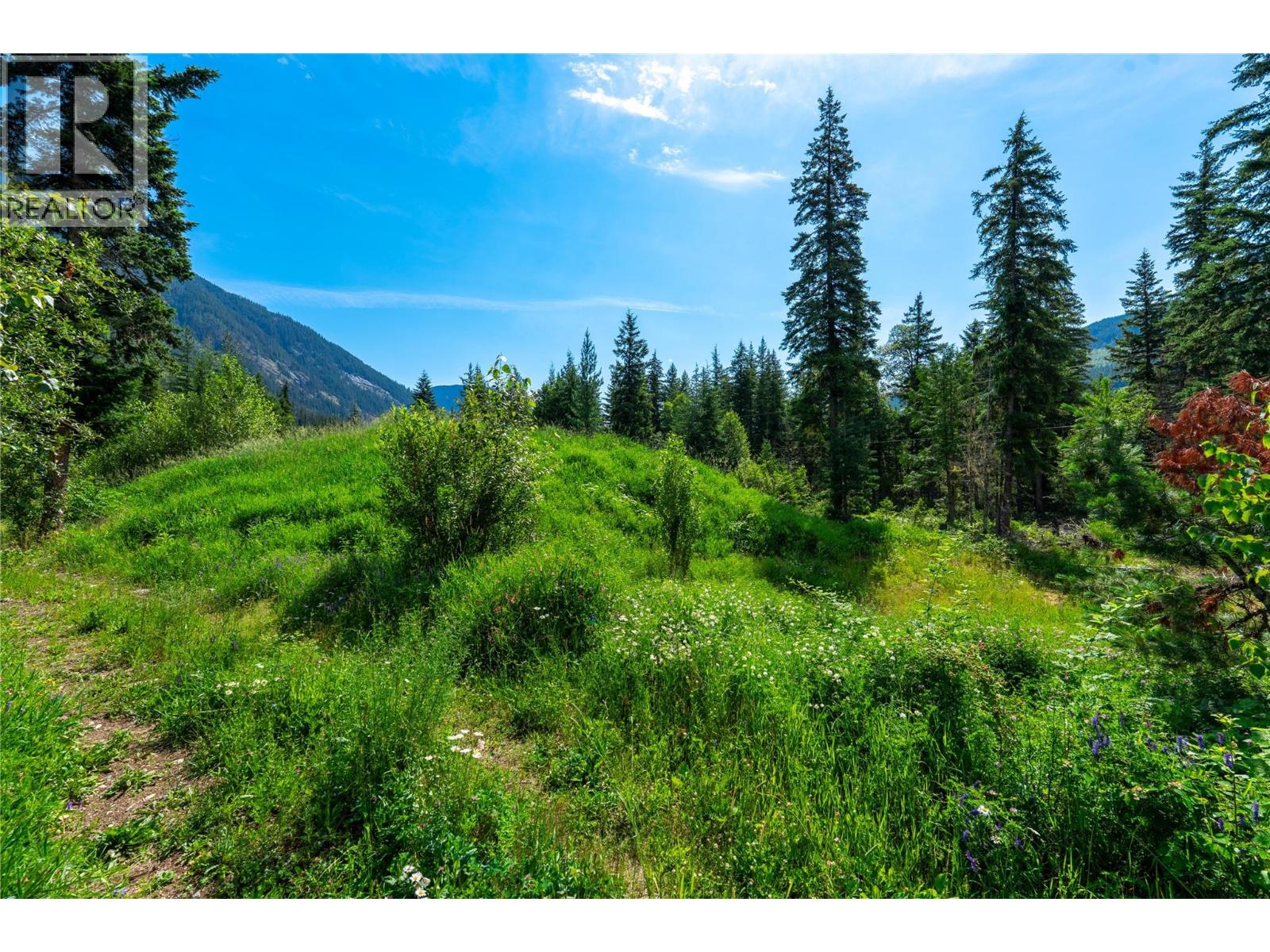 5597 Avoca Road, Malakwa, British Columbia  V0E 2J0 - Photo 16 - 10395008