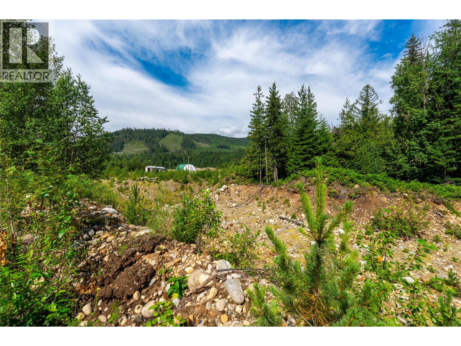 5597 Avoca Road, Malakwa, British Columbia  V0E 2J0 - Photo 17 - 10395008
