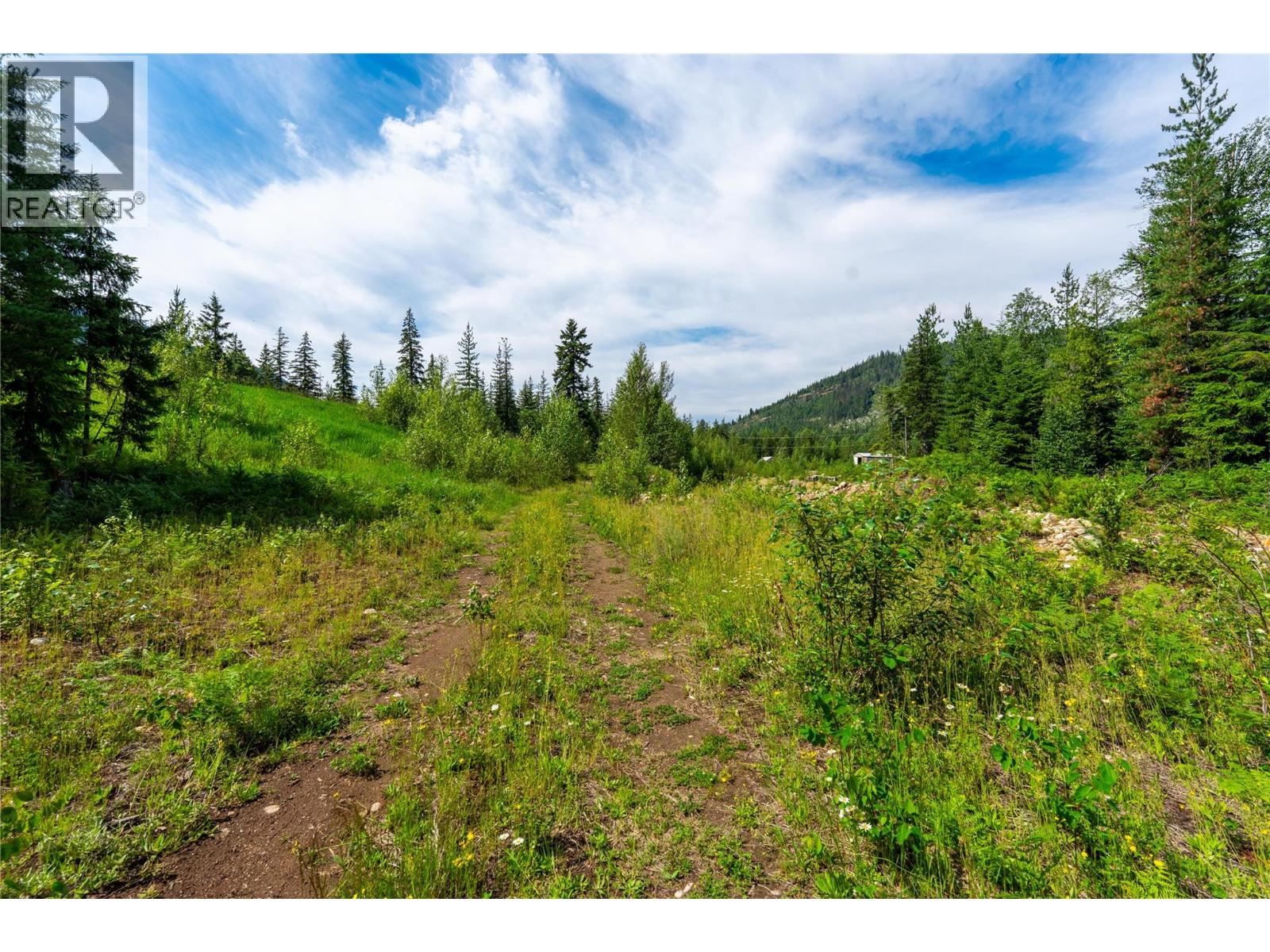 5597 Avoca Road, Malakwa, British Columbia  V0E 2J0 - Photo 18 - 10395008
