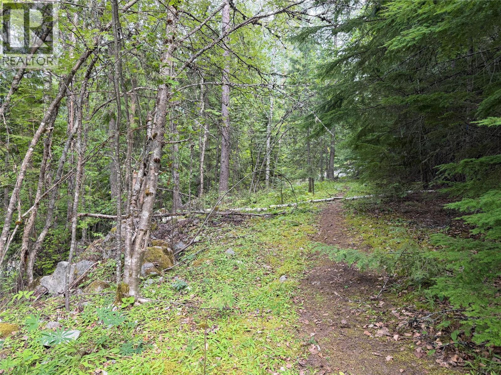 Choquette Avenue Lot# 4, Nelson, British Columbia  V1L 5V1 - Photo 10 - 10395559
