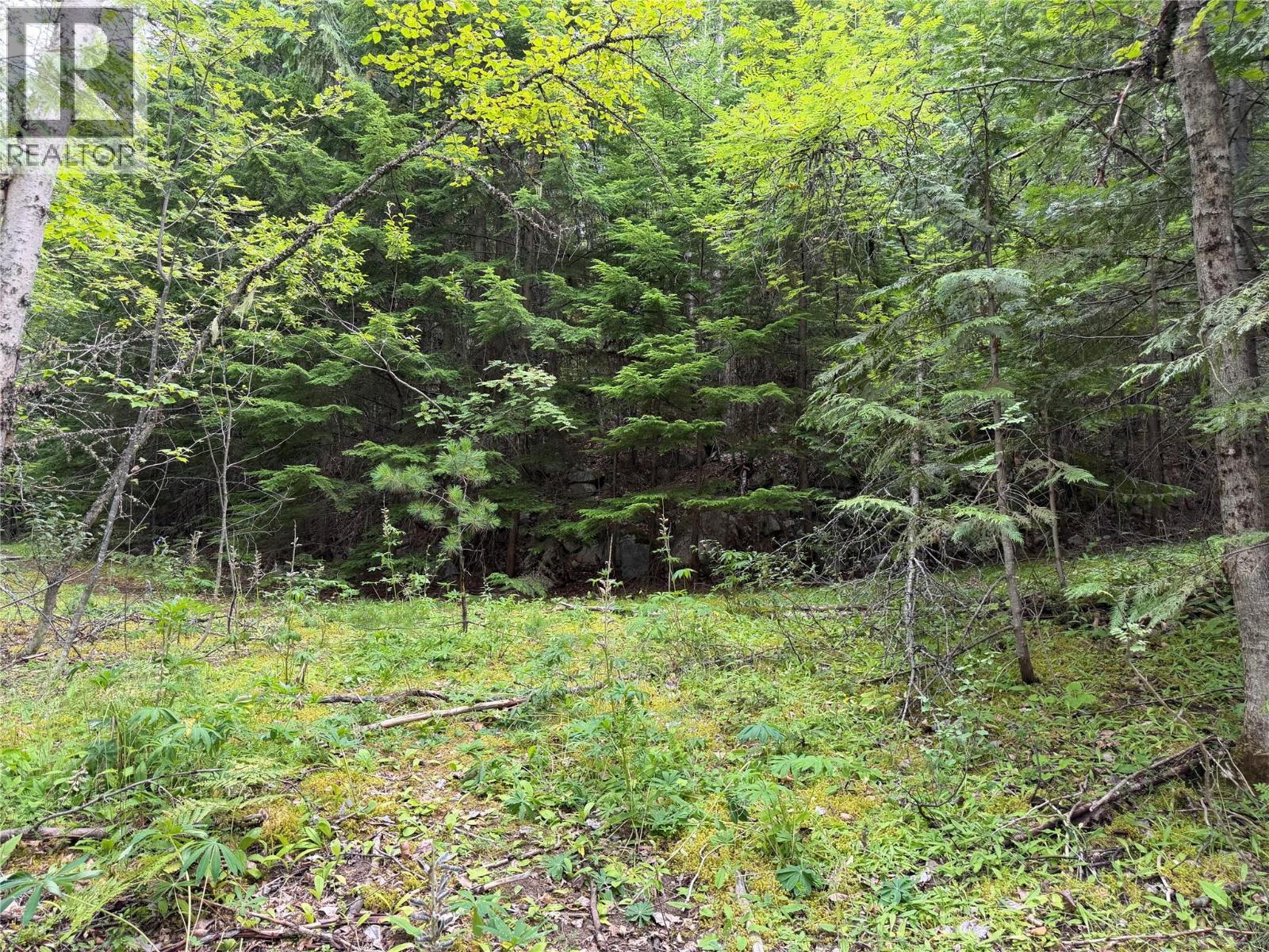 Choquette Avenue Lot# 4, Nelson, British Columbia  V1L 5V1 - Photo 12 - 10395559