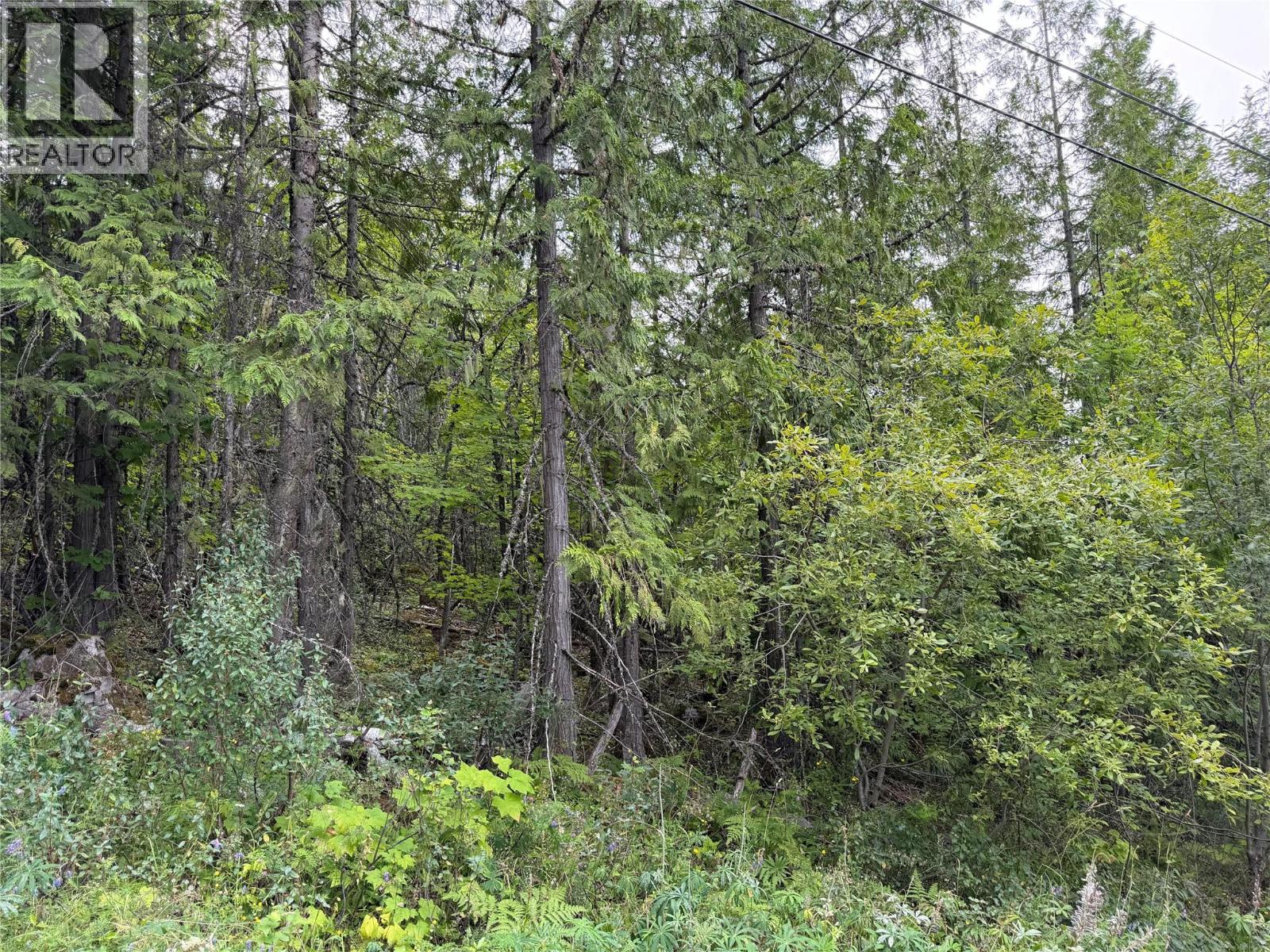 Choquette Avenue Lot# 4, Nelson, British Columbia  V1L 5V1 - Photo 13 - 10395559