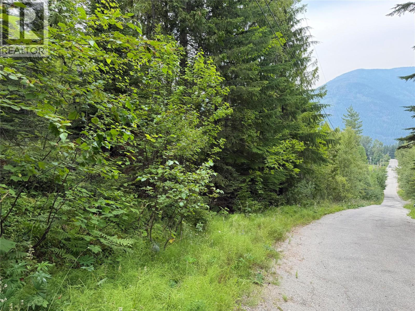 Choquette Avenue Lot# 4, Nelson, British Columbia  V1L 5V1 - Photo 8 - 10395559