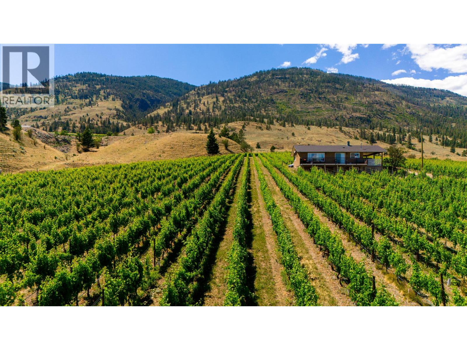 583 Tinhorn Creek Road, Oliver, British Columbia  V0H 1T1 - Photo 10 - 10395614