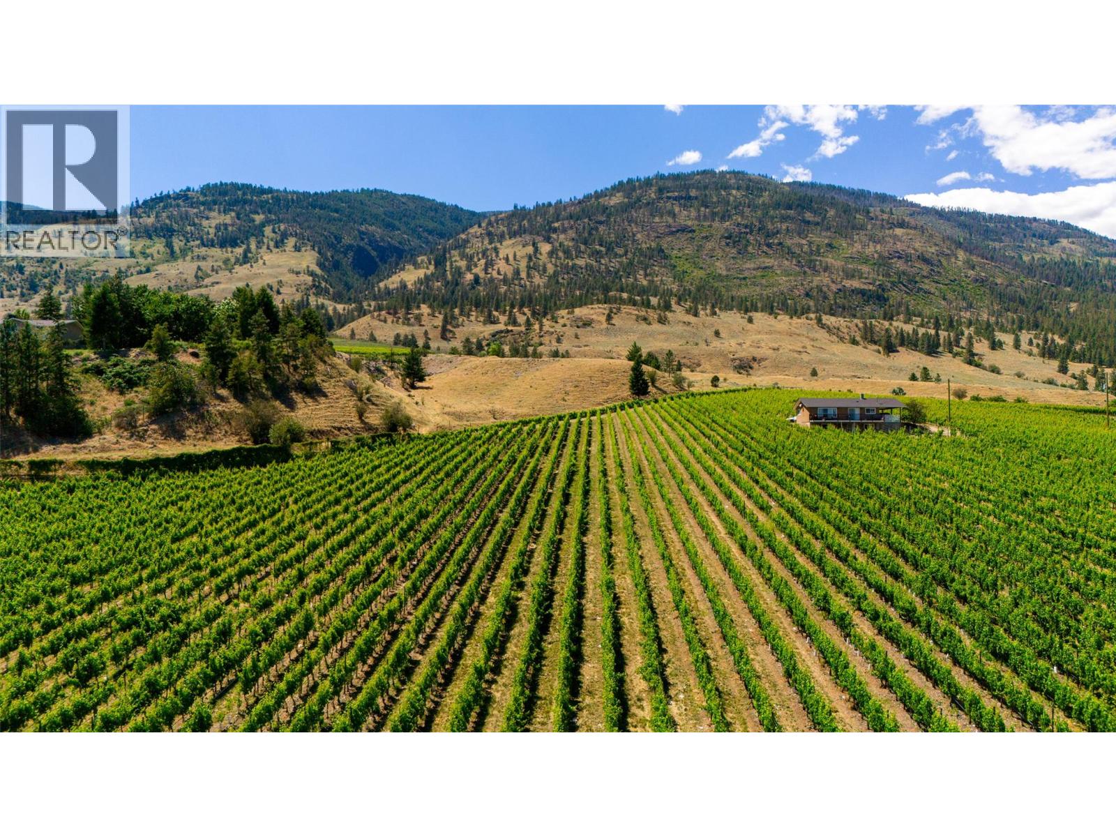583 Tinhorn Creek Road, Oliver, British Columbia  V0H 1T1 - Photo 2 - 10395614