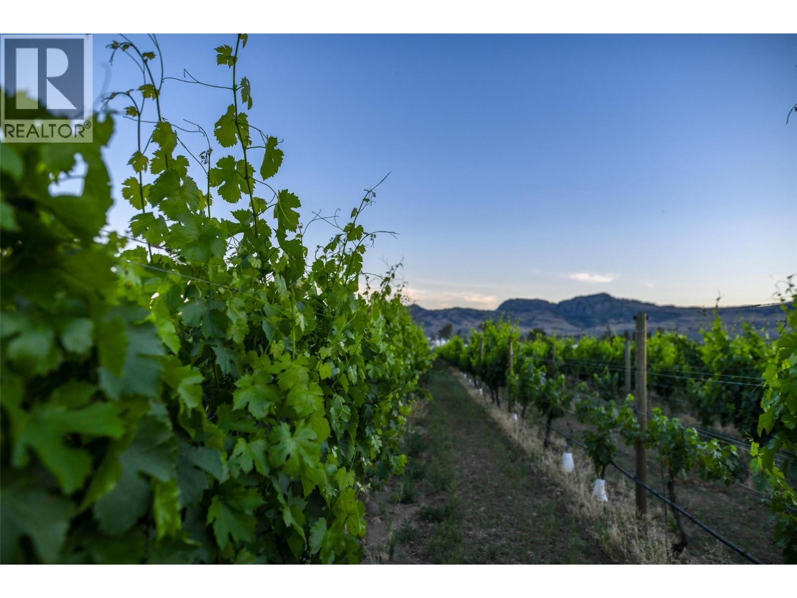 5221 45 Street, Osoyoos, British Columbia  V0H 1V6 - Photo 30 - 10395676