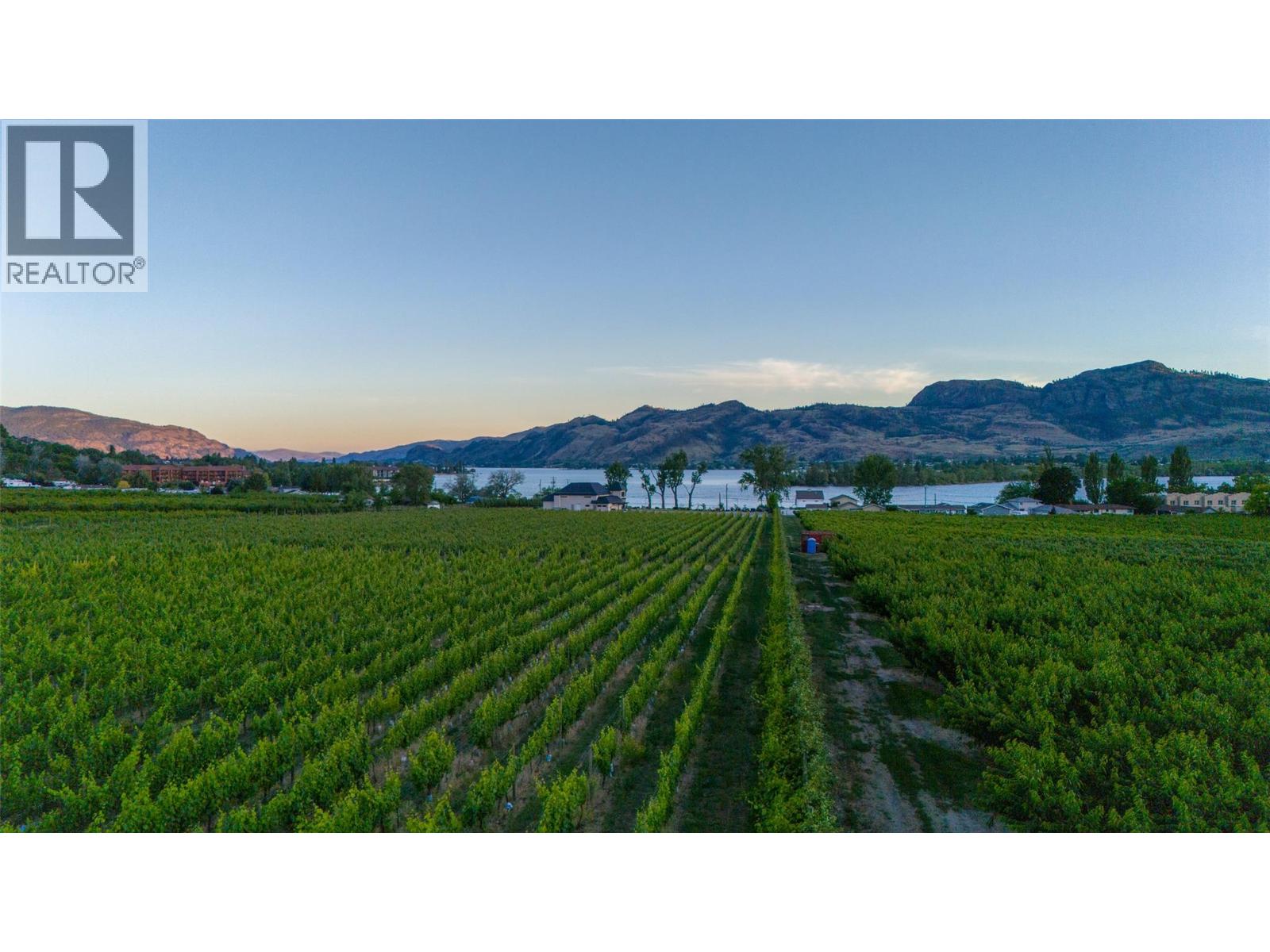 5221 45 Street, Osoyoos, British Columbia  V0H 1V6 - Photo 54 - 10395676