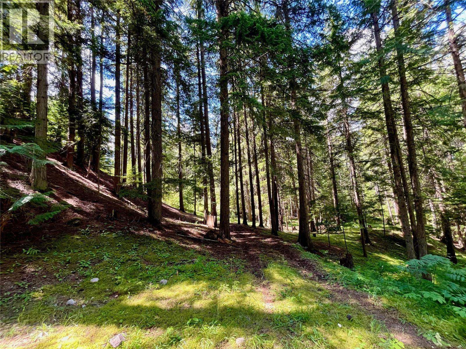 7475 6 Highway, Winlaw, British Columbia  V0G 2J0 - Photo 40 - 10393756