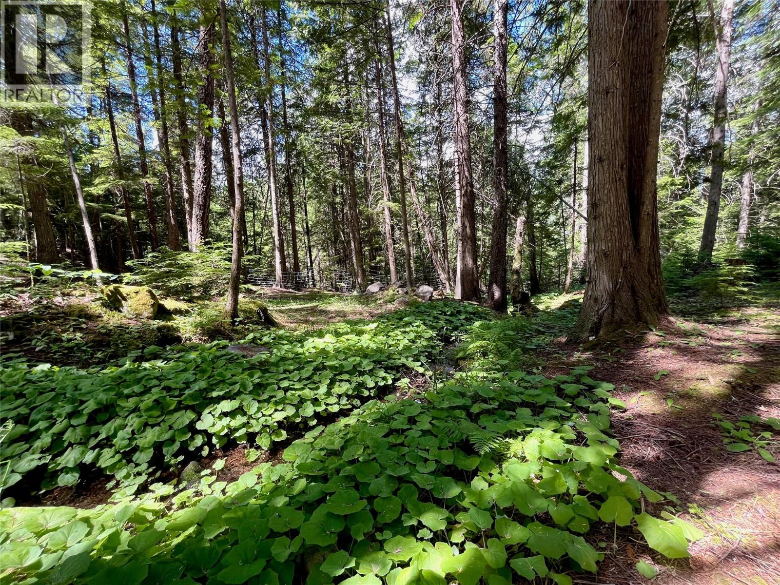 7475 6 Highway, Winlaw, British Columbia  V0G 2J0 - Photo 41 - 10393756