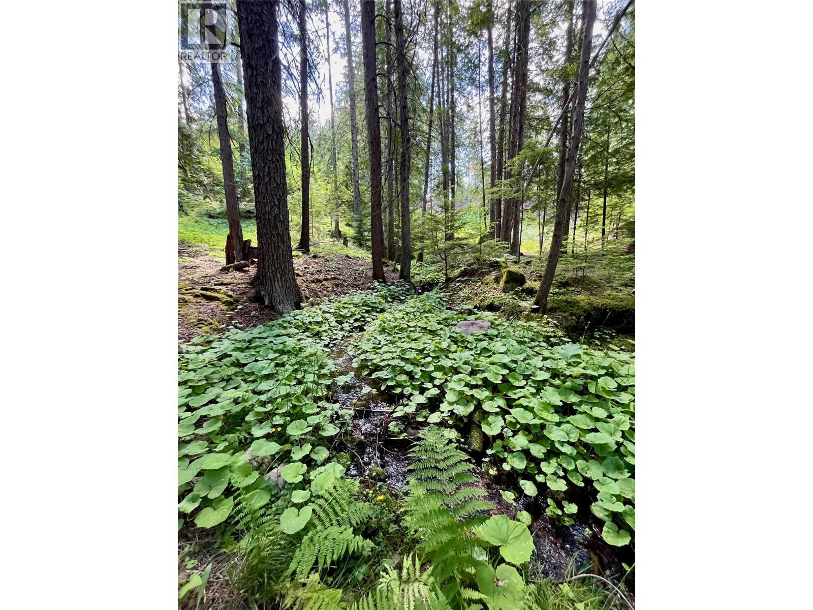 7475 6 Highway, Winlaw, British Columbia  V0G 2J0 - Photo 42 - 10393756