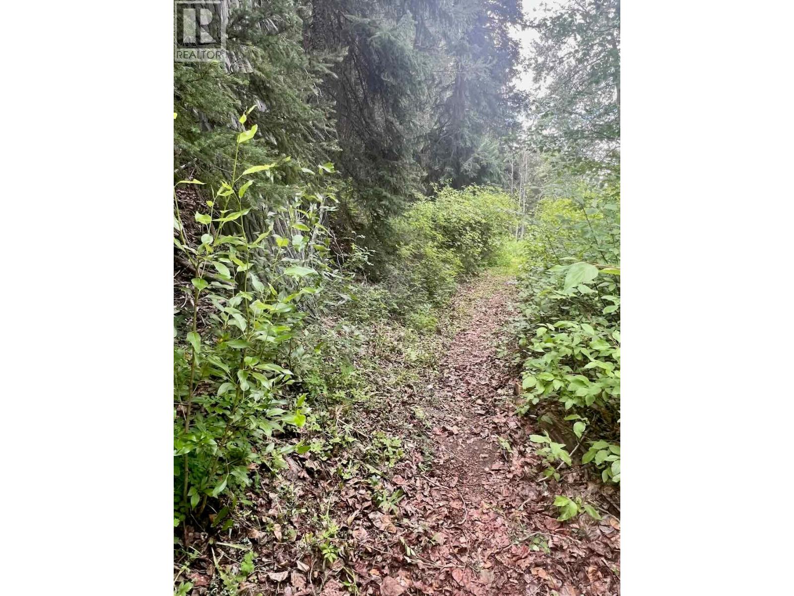 820 Kane Valley Road, Merritt, British Columbia  V1K 1B8 - Photo 15 - 10395418