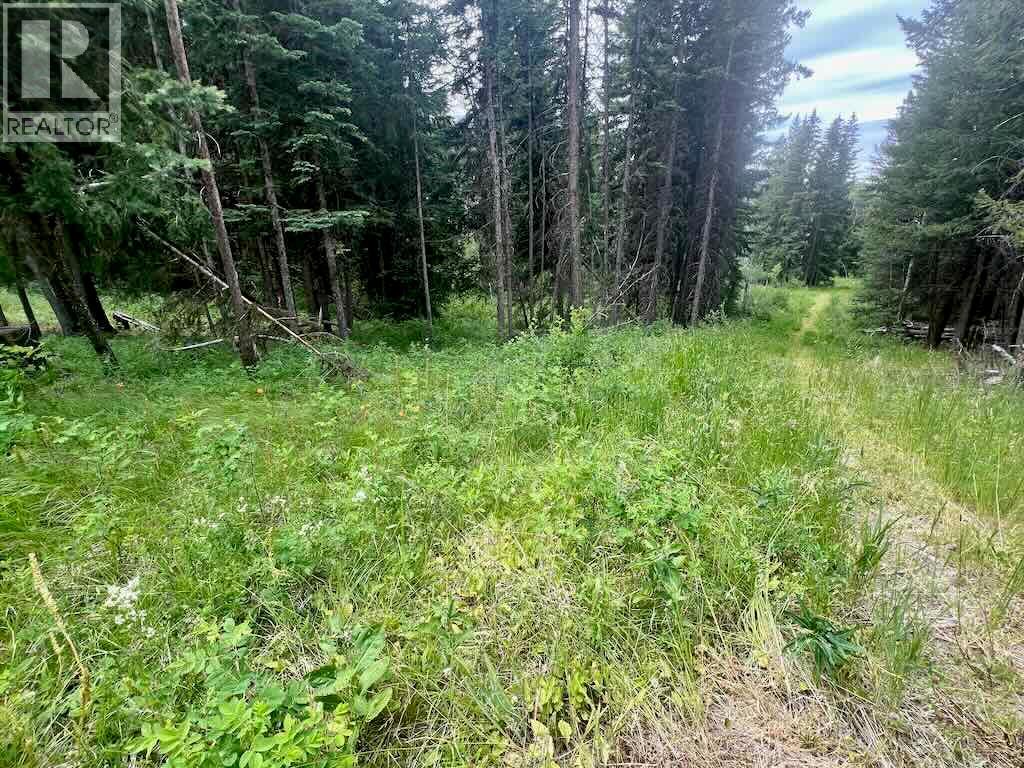 820 Kane Valley Road, Merritt, British Columbia  V1K 1B8 - Photo 18 - 10395418