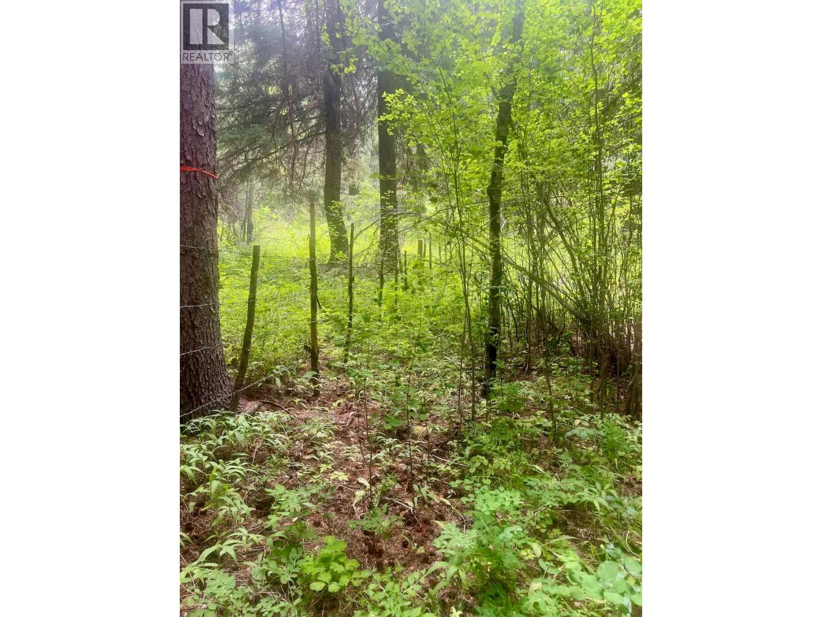 820 Kane Valley Road, Merritt, British Columbia  V1K 1B8 - Photo 19 - 10395418