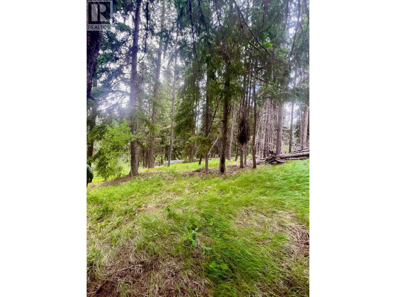 820 Kane Valley Road, Merritt, British Columbia  V1K 1B8 - Photo 20 - 10395418