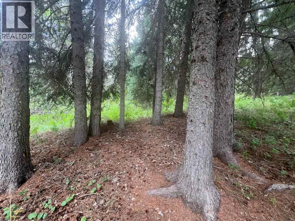 820 Kane Valley Road, Merritt, British Columbia  V1K 1B8 - Photo 21 - 10395418