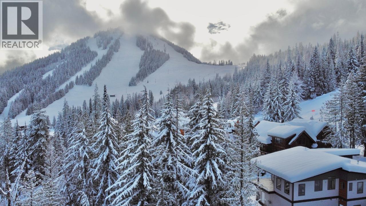 1018 Olaus Way, Rossland, British Columbia  V0G 1Y0 - Photo 10 - 10395778