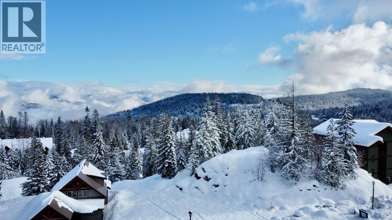 1018 Olaus Way, Rossland, British Columbia  V0G 1Y0 - Photo 11 - 10395778