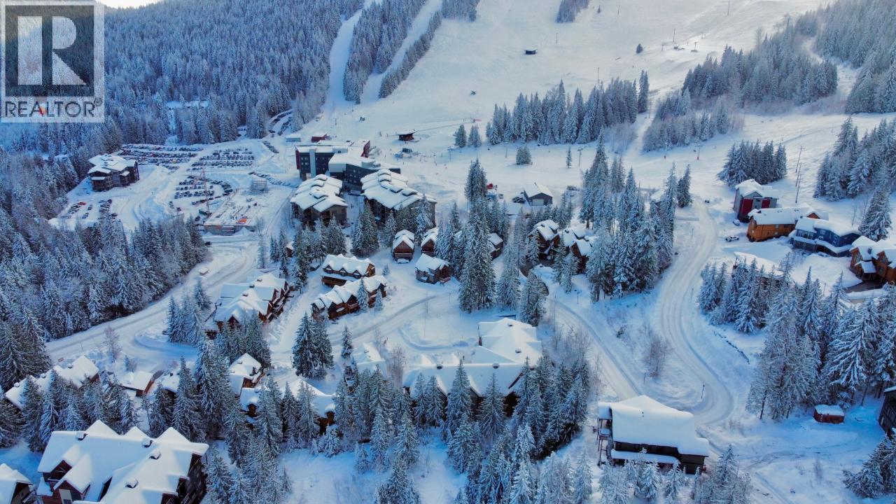 1018 Olaus Way, Rossland, British Columbia  V0G 1Y0 - Photo 12 - 10395778