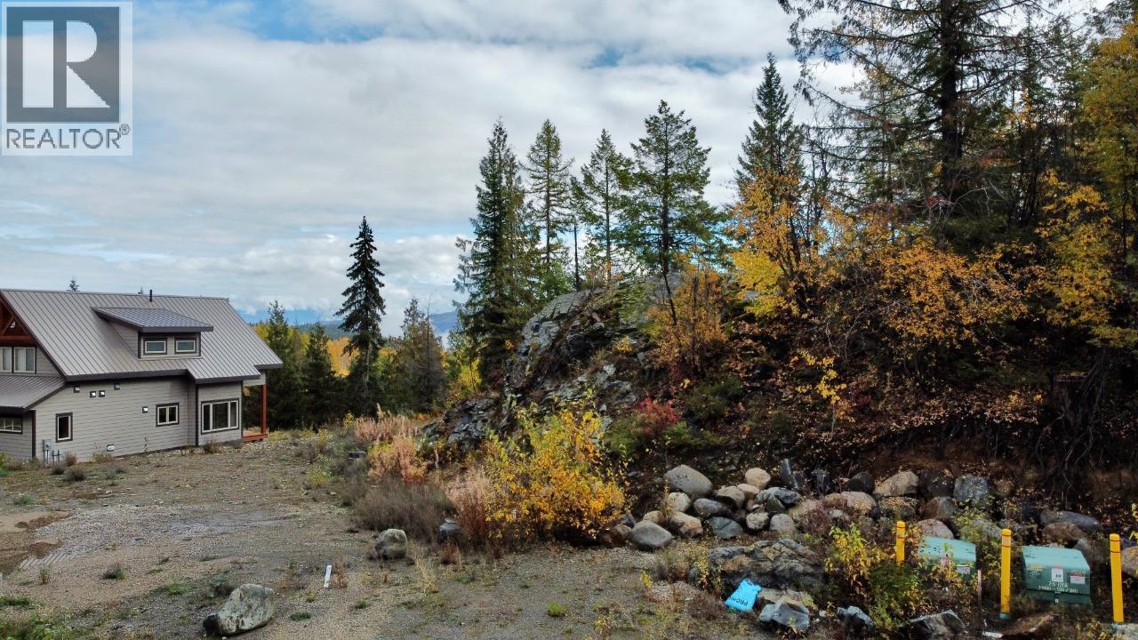 1018 Olaus Way, Rossland, British Columbia  V0G 1Y0 - Photo 16 - 10395778