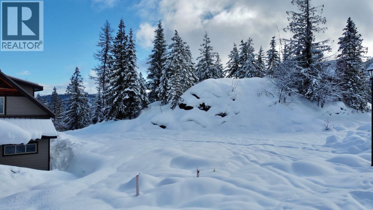 1018 Olaus Way, Rossland, British Columbia  V0G 1Y0 - Photo 8 - 10395778