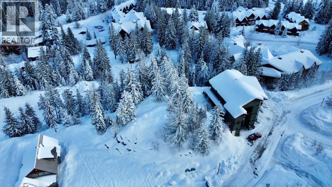 1018 Olaus Way, Rossland, British Columbia  V0G 1Y0 - Photo 9 - 10395778