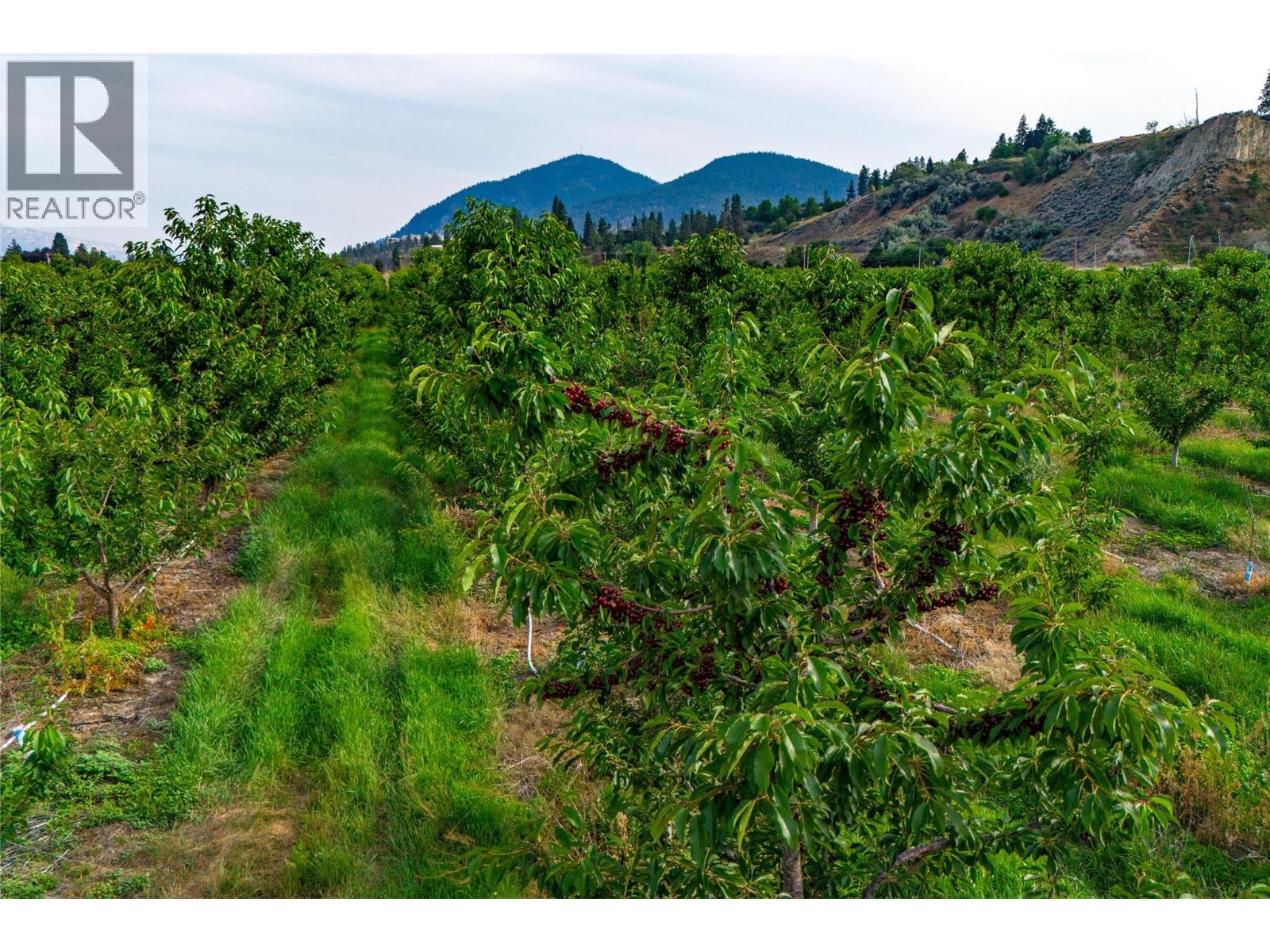 4500 Landry Crescent, Summerland, British Columbia  V0H 1Z9 - Photo 3 - 10395806