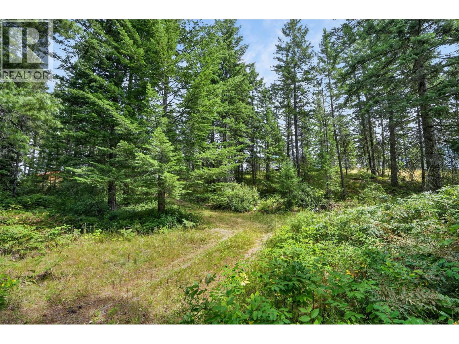 4940 Fletcher Creek Road, Kaslo, British Columbia  V0G 1M0 - Photo 4 - 10395375