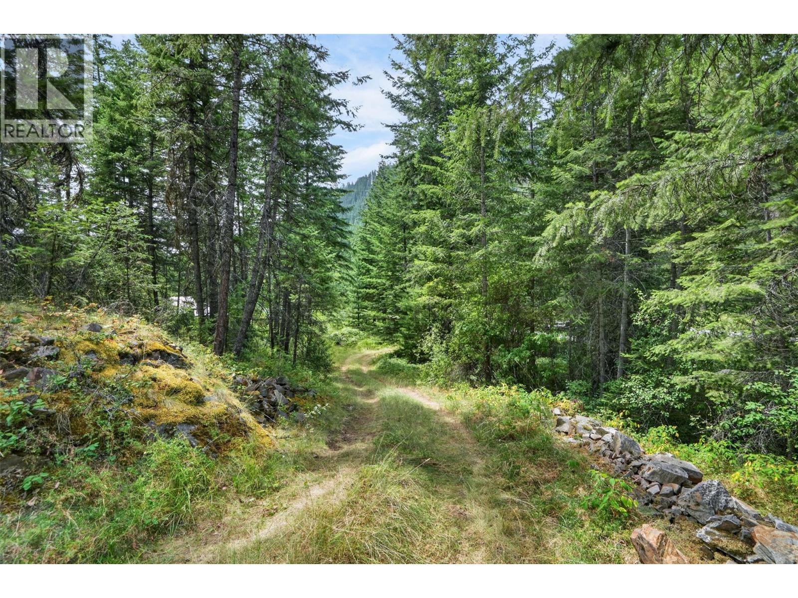 4940 Fletcher Creek Road, Kaslo, British Columbia  V0G 1M0 - Photo 5 - 10395375