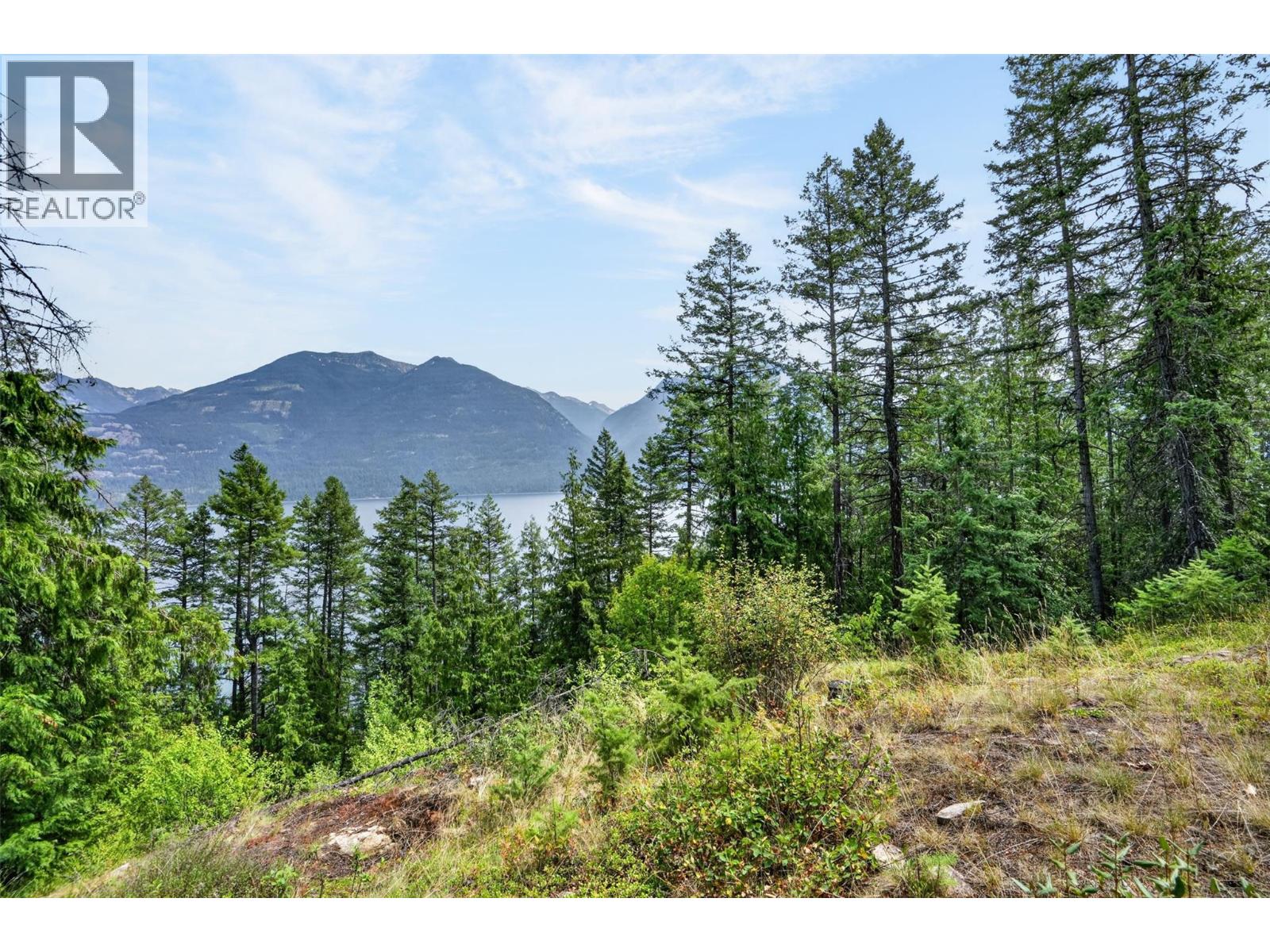 4940 Fletcher Creek Road, Kaslo, British Columbia  V0G 1M0 - Photo 9 - 10395375