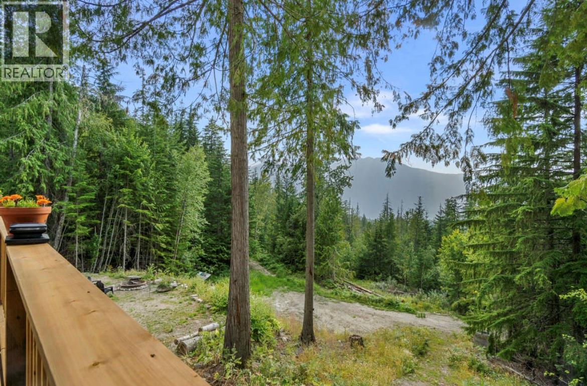 760 Kangaroo Trail, Nakusp, British Columbia  V0G 1R0 - Photo 27 - 10395943