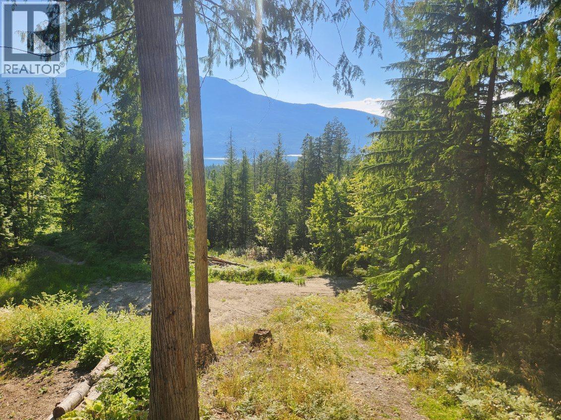 760 Kangaroo Trail, Nakusp, British Columbia  V0G 1R0 - Photo 30 - 10395943