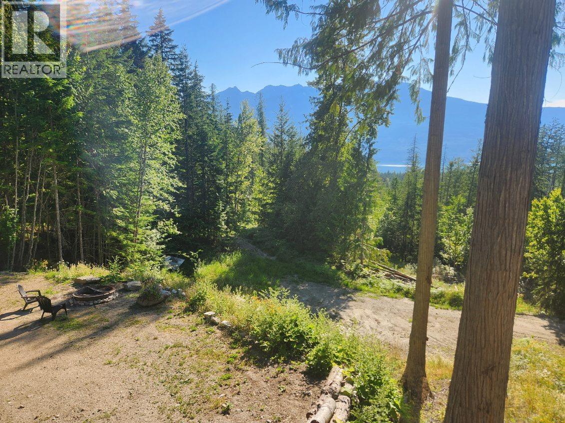 760 Kangaroo Trail, Nakusp, British Columbia  V0G 1R0 - Photo 31 - 10395943